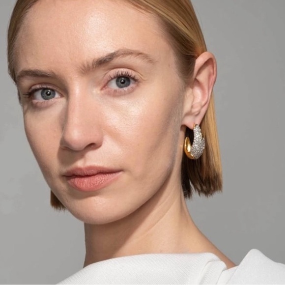 Solanales Crystal Sculpted Hoop Earrings Alexis Bittar Two Tone N27 - Picture 2 of 6